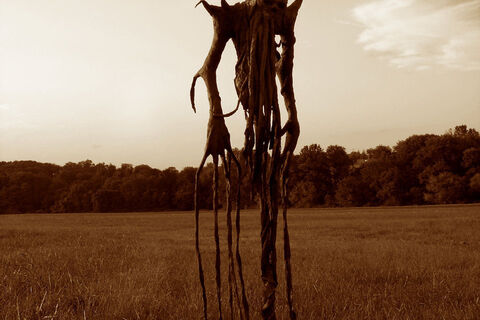 Scarecrow