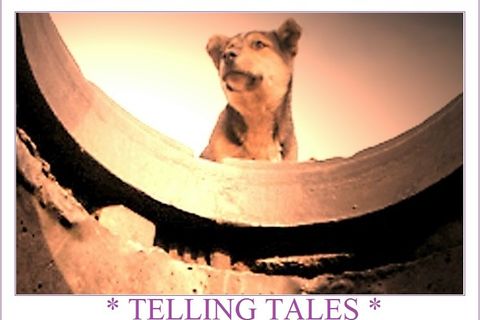 Telling Tales
