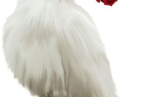 LOVE ALWAYS GIVES!