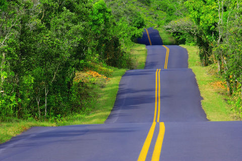 THE LONG ROAD HOME 
