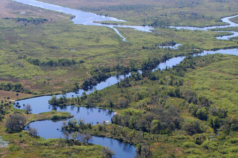 Blue-Eyed River