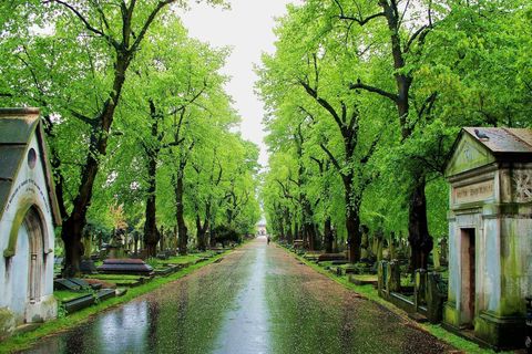 MY CEMETERY WALK