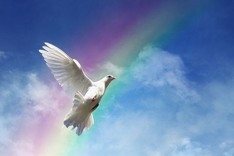 THE SPIRIT OF JESUS