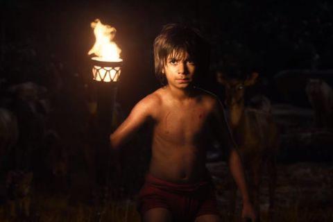 Pathfinder