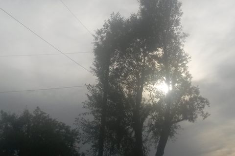 The Old Soul of a Truth Seeker