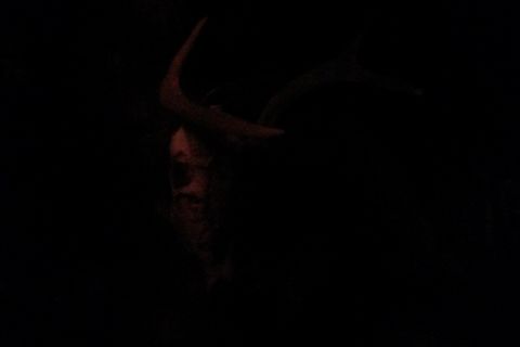 one wish to the devil