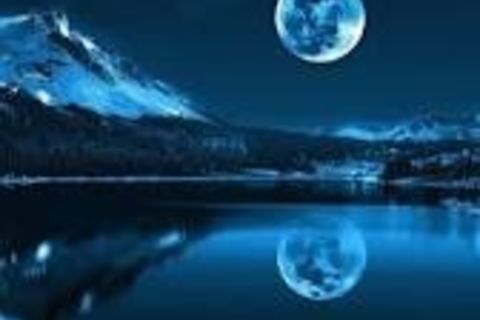 A little bloom of moonlight 