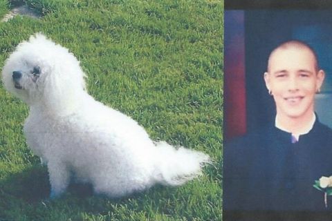 A Man In Heavens’ Best Friend