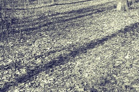 Walking with a stranger