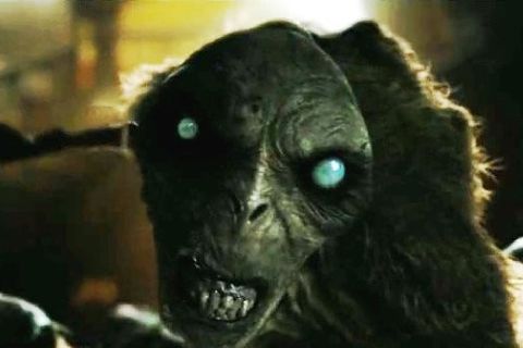 THE DWELLER