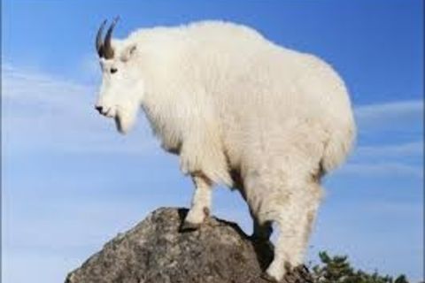 UP TO THE TOP 