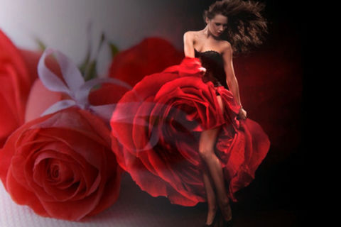 Rose