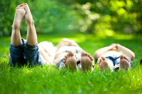 Summer Memories