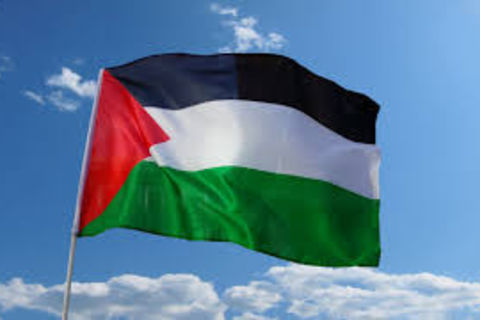 Freedom For Palestine