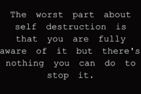 ~Where My Mind Dwells~