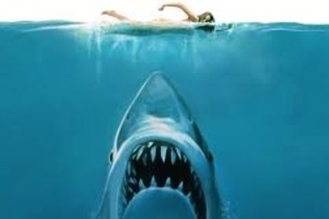 Shark Tank