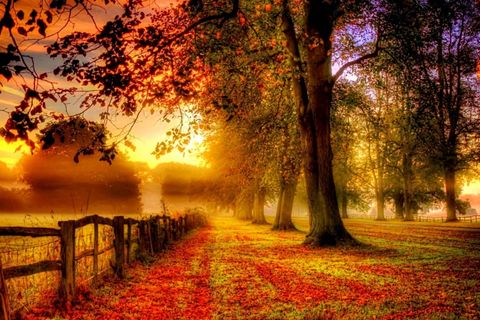 Autumn