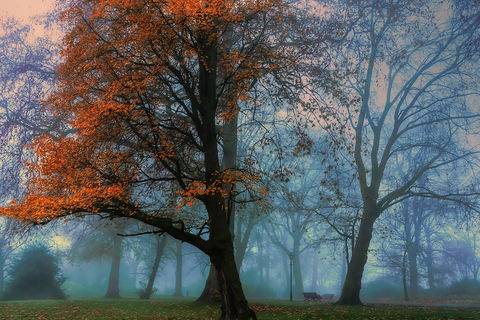 Autumn&#039;s End