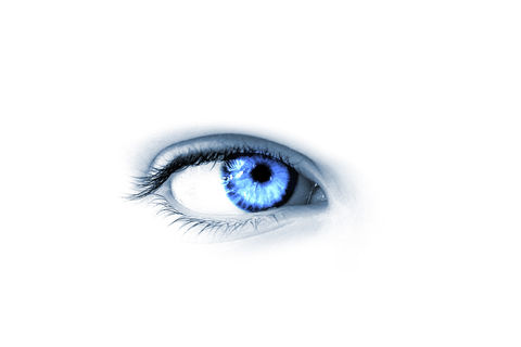 THE HUMAN EYE!
