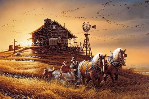 A horses comparison 