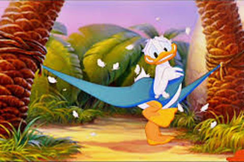 DONALD MY HERO