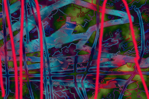 THE NATURE OF THINGS
