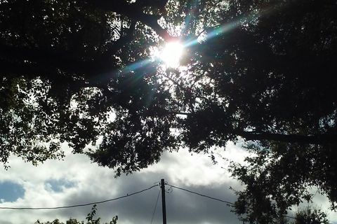 LIGHT AND LIFE 