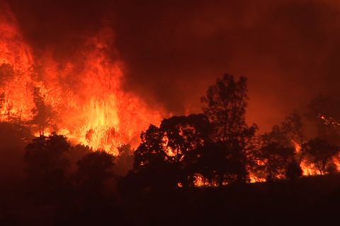 The Santa Ana Winds