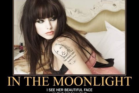 In the moonlight