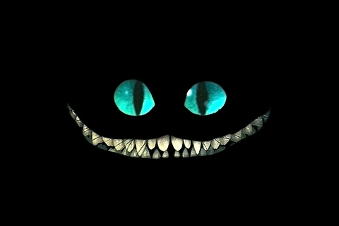 Cheshire cat