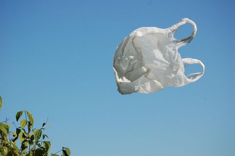 Plastic Bag