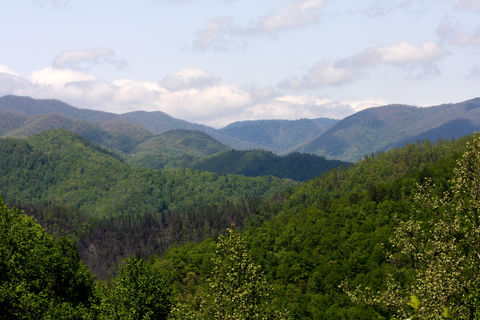 Blue Haze (for love of the Blue Ridge Parkway)