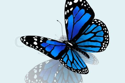 I come to give you my heart 