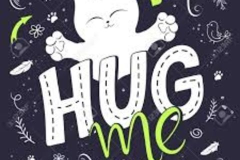 HUG ACCOUNTING