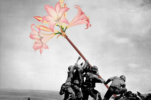 War Kills Flowers