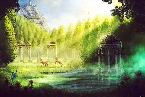 The world, through your eyes