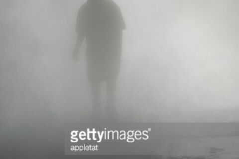 THE FOG 