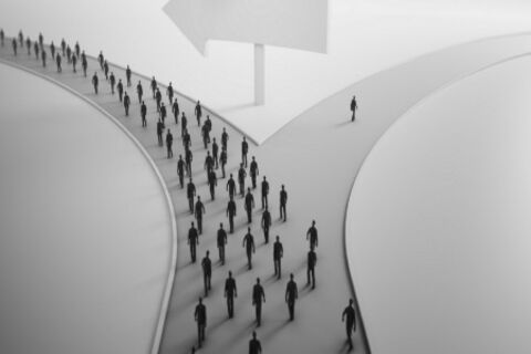 The Road Less Traveled