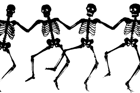 Dark Skeletons 