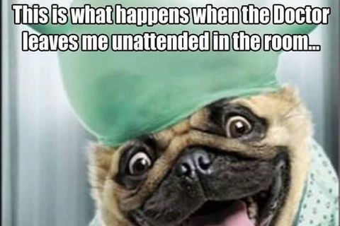 THE HOSPITAL TWIT CLUB!!