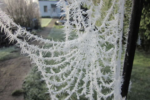 A Winter&#039;s Kiss