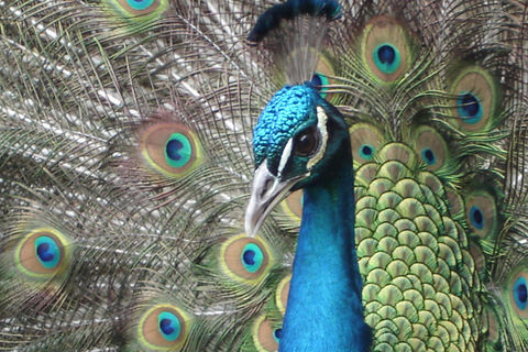 Just Around The Next Bend