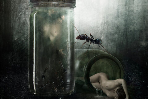 Preserve Me