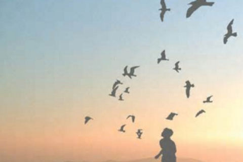 Freedom