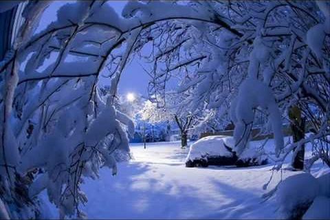 A Winter&#039;s Night 