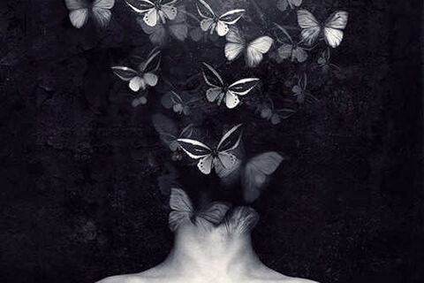 Butterflies In My Mind