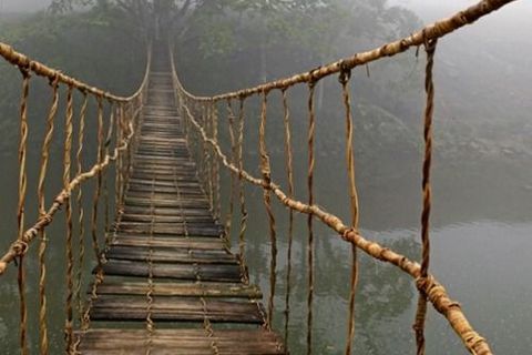 The Bridge