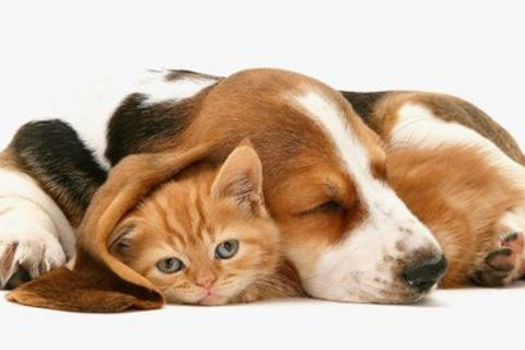 Friendships I Hold So Dear