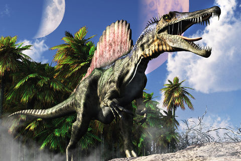 Do Dinos Soar?