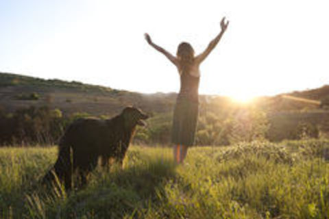 GOD&#039;S SUNSHINE